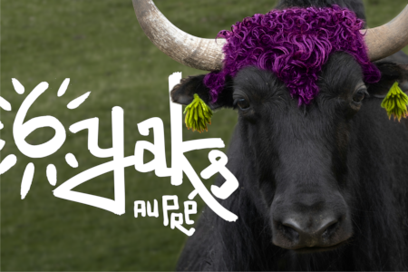 6 Yaks au Pré